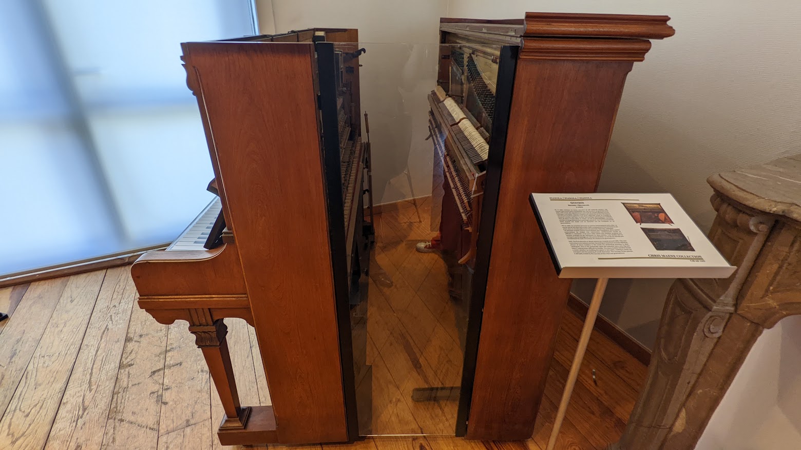 PXL_20220628_091123784