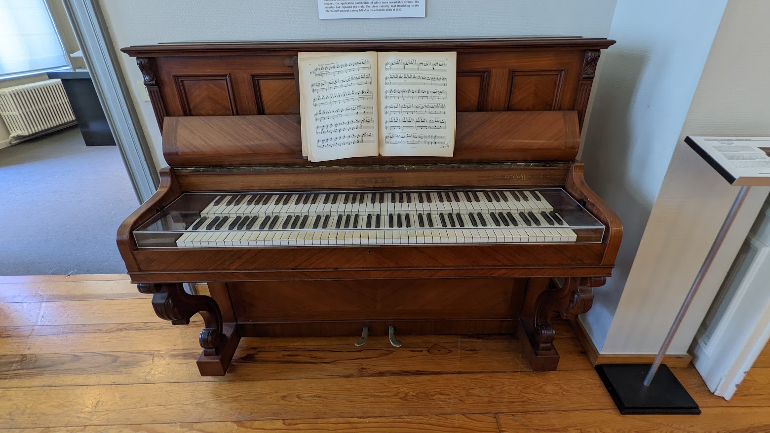 PXL_20220628_091639335