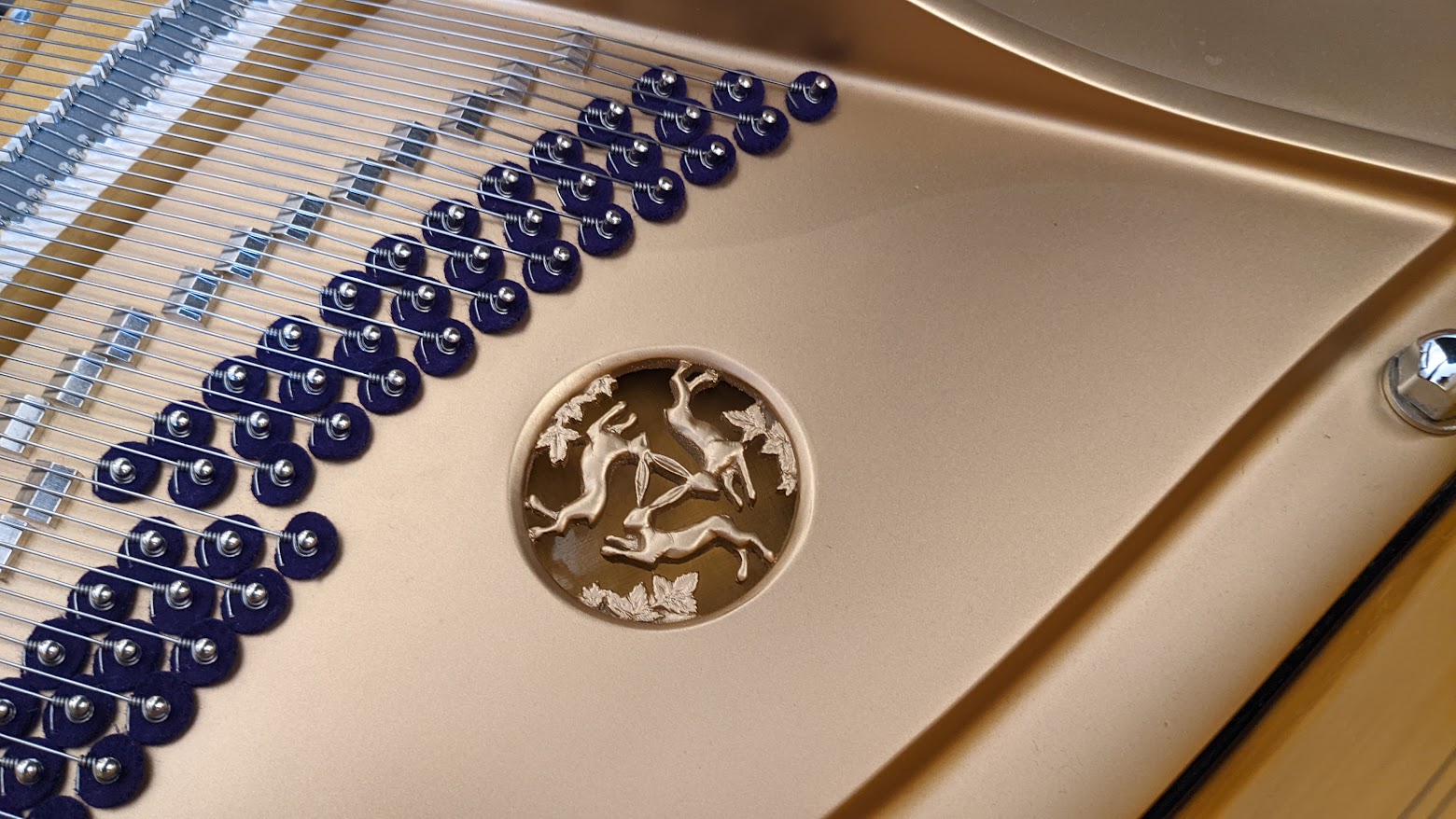 PXL_20220628_093728386 PXL_20220628_093728386