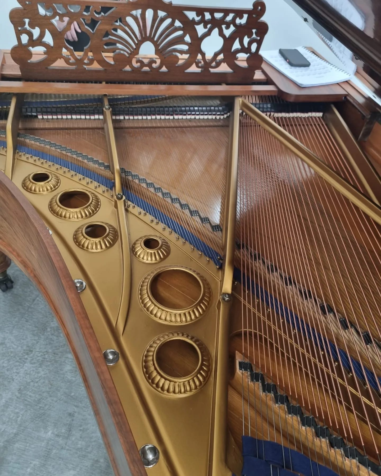 292394815_420184430126104_9114593649157524520_n