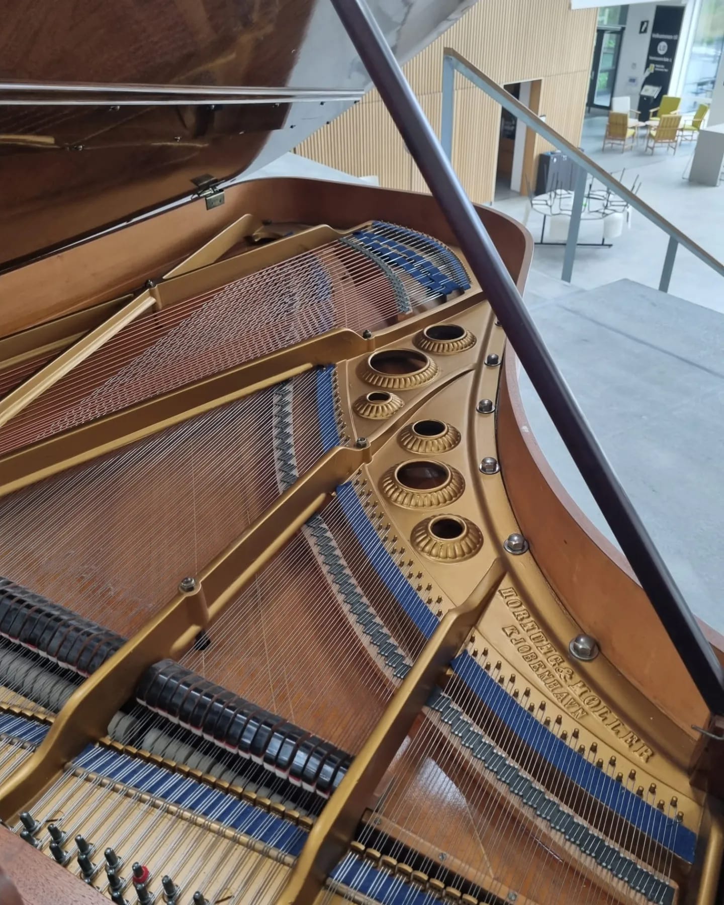 292625833_420184476792766_4862497425643708091_n