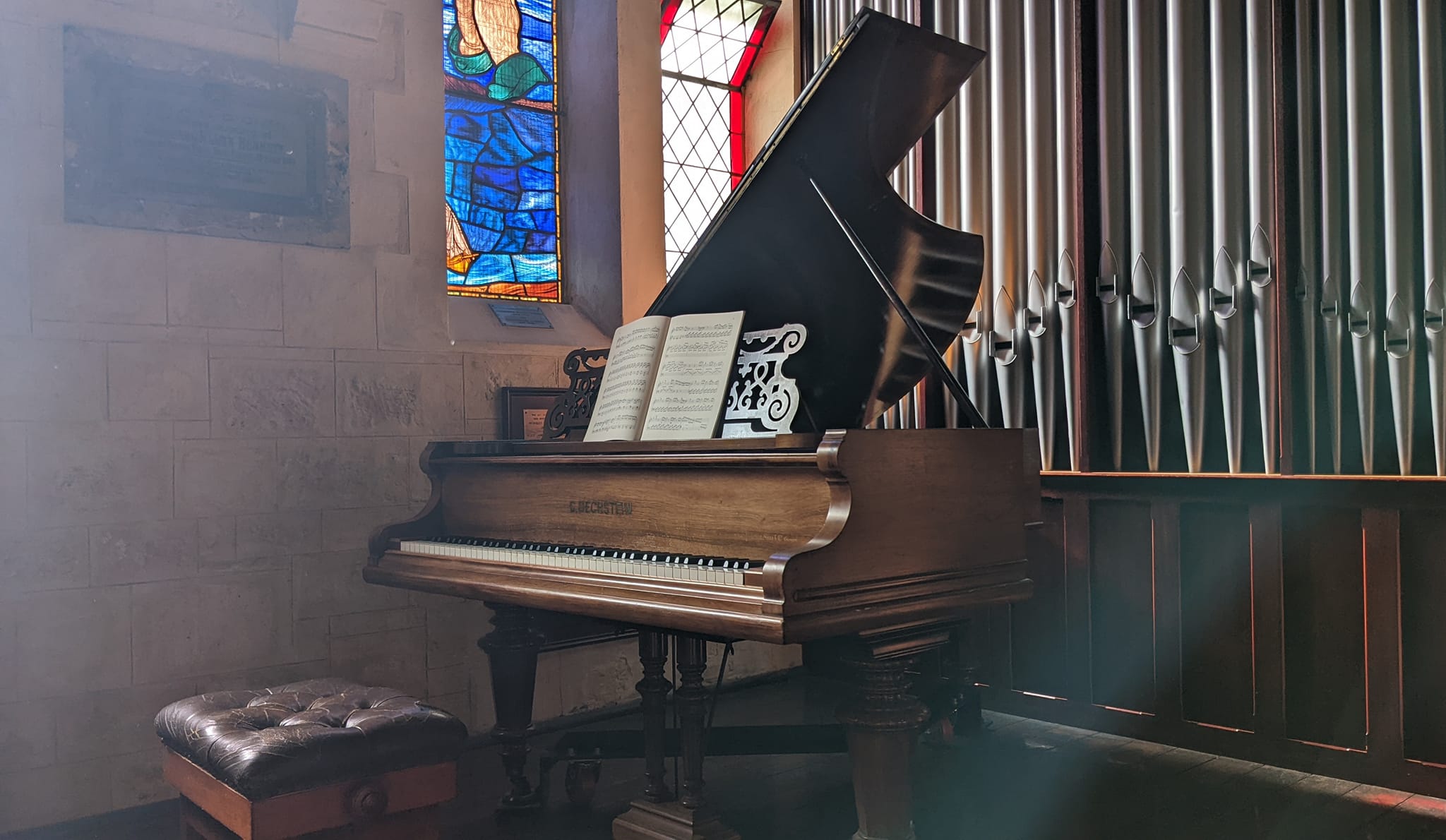 287157870_401529211991626_8132210170806556231_n